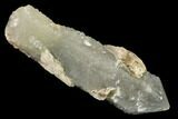 Sage-Green Quartz Crystal with Dual Core - Mongolia #169915-1